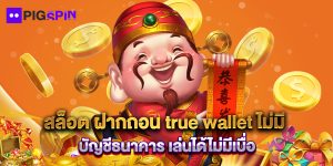 สล็อต ฝากถอน true wallet ไม่มี บัญชีธนาคาร เล่นได้ไม่มีเบือ