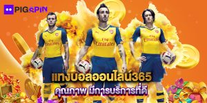 แทงบอลออนไลน์365 คุณภาพ มีการบริการที่ดี